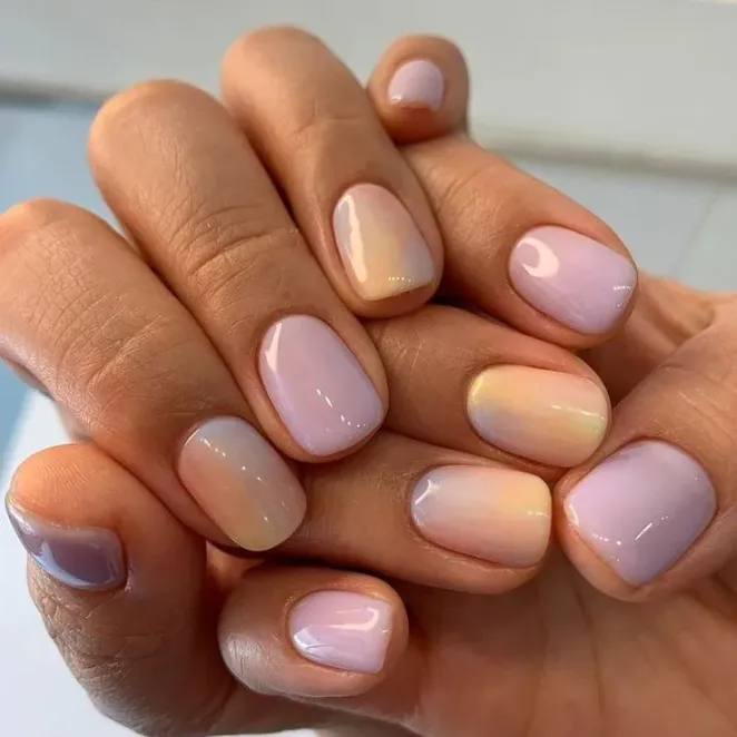 Two Solid Jelly Tones 